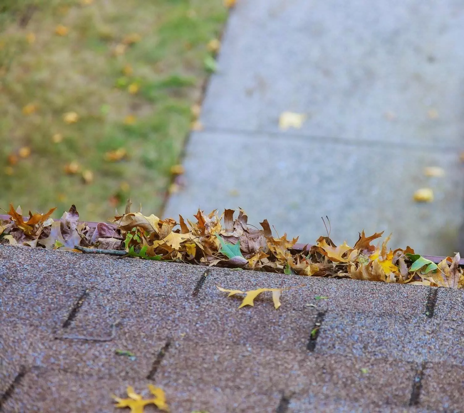 Yellow leaves are covered with iron gutter cover on a roof with leaves